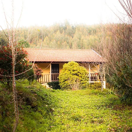 Barbeito